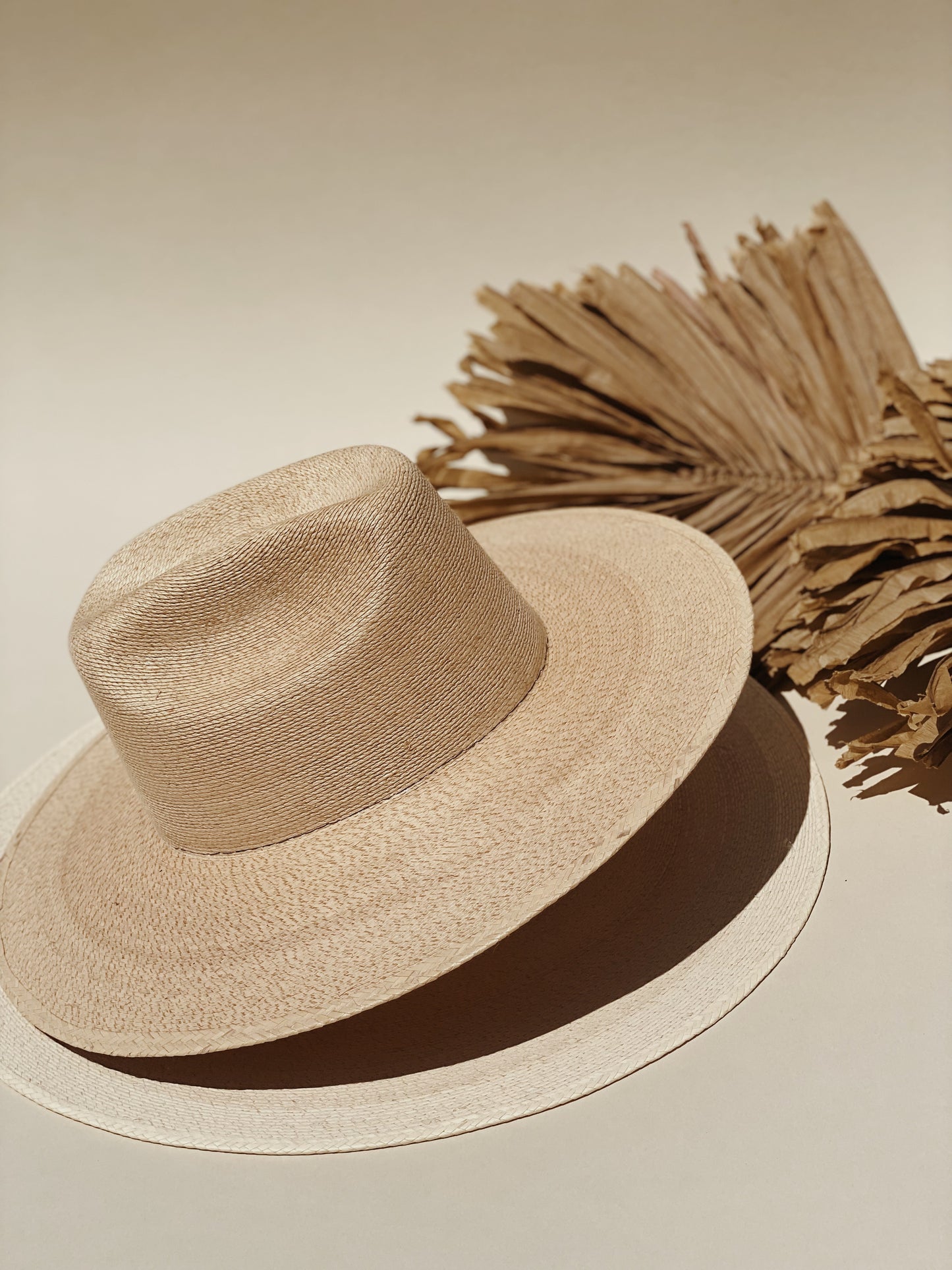 Palma Sombrero